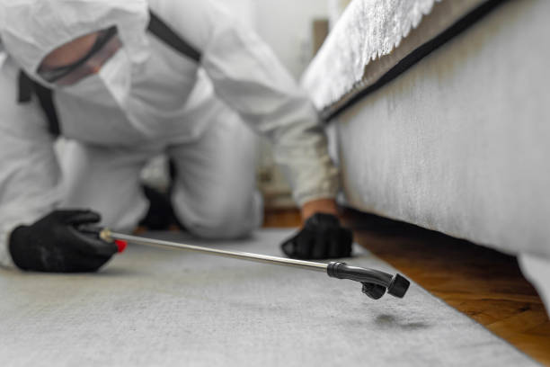 Professional Bed Bug Control technician working in Elgin, TX